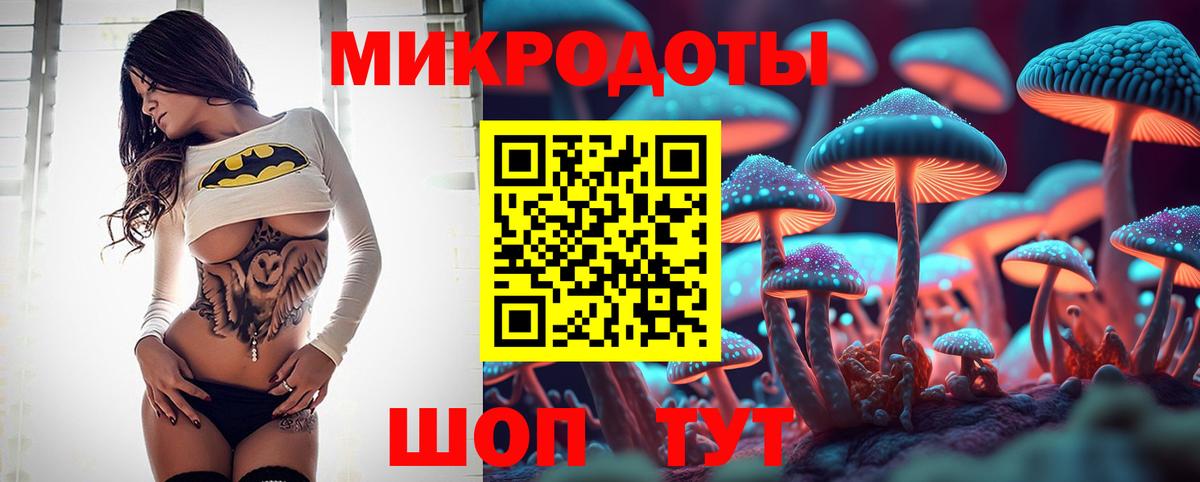 Черногорск  Псилоцибиновые грибы GOLDEN TEACHER  Псилоцибиновые грибы Cubensis  Вход с VPN 